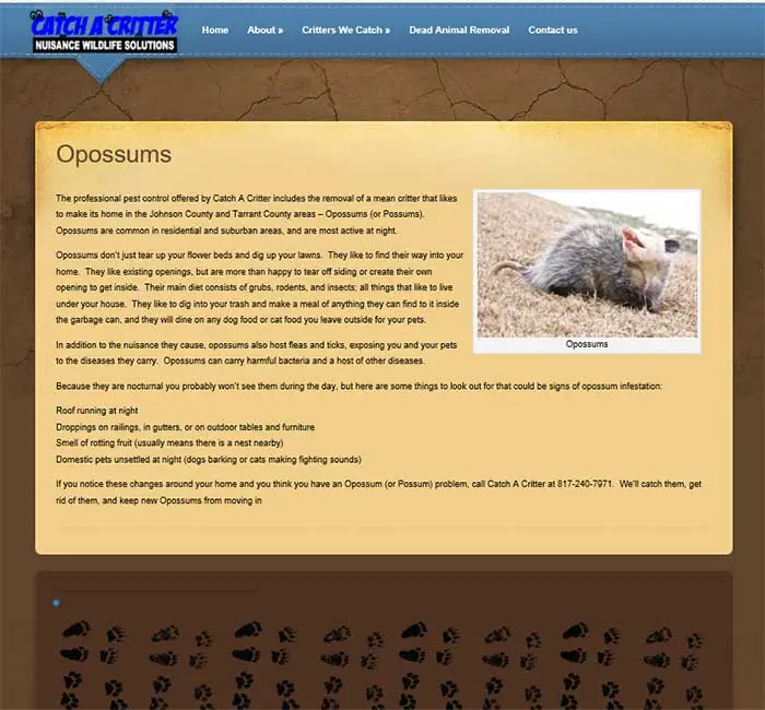 Colorado Springs-wordpress-websites-critter