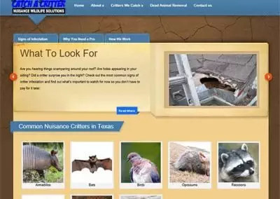 WordPress Website:  Catch a Critter