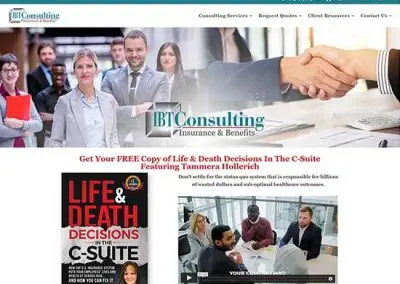 WordPress Website:  IBT Consulting