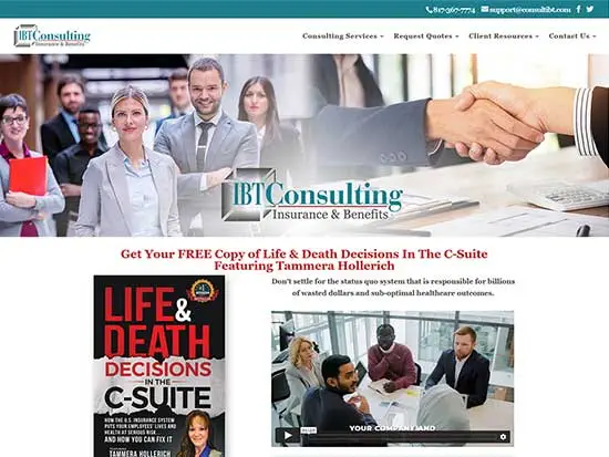 WordPress Website:  IBT Consulting