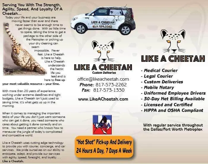 small-business-marketing-cheetah